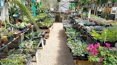 world's best nursery